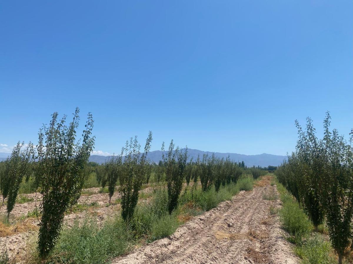 Villa El Rincon Del Nene à Albardón Extérieur photo